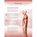 Upper and Lower Crossed Syndrome Poster