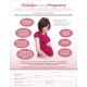 Changes During Pregnancy Massage Therapy Handout