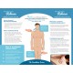 Myofascial Release Brochure